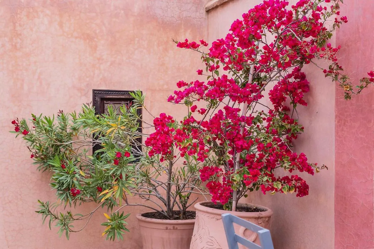 Riad Sassa Finda Marrakesh 2*,